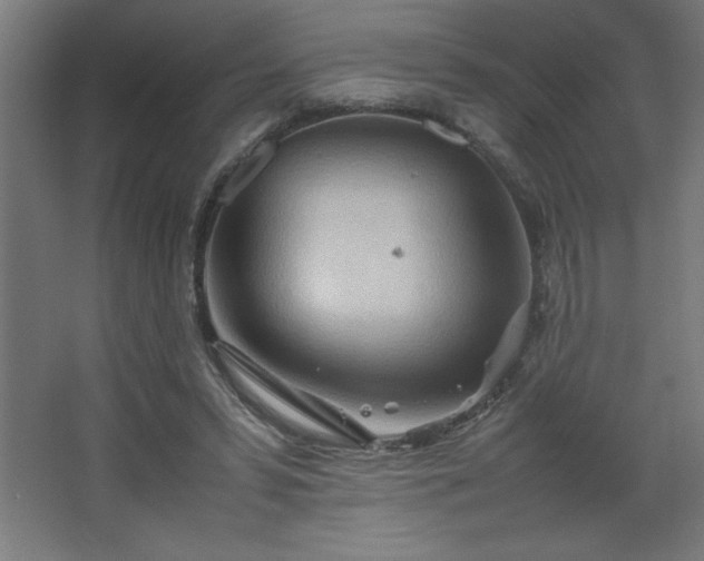 X0000067830399200604201221