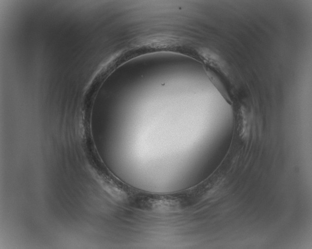 X0000067830400200604201221