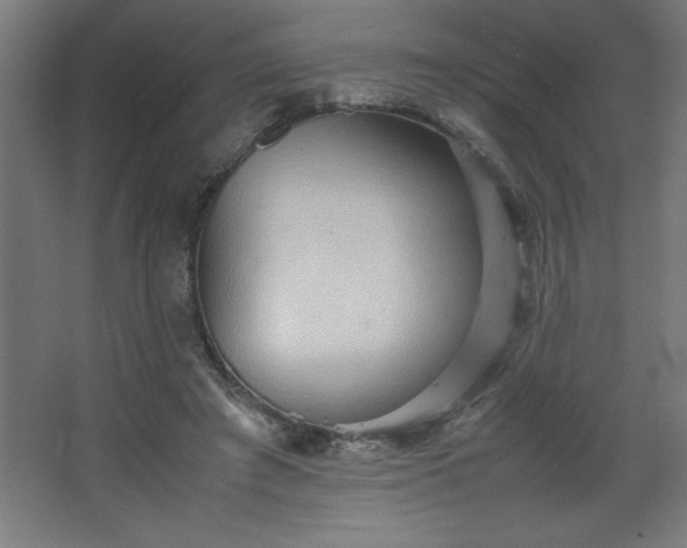 X0000067830401200604201221