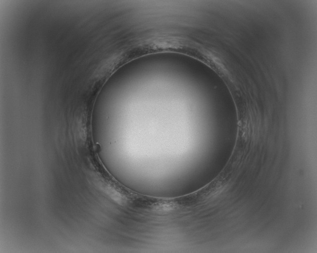 X0000067830402200604201221