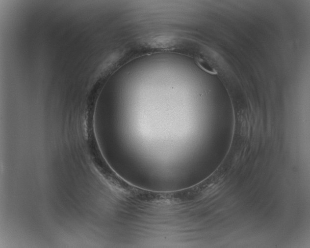 X0000067830404200604201221