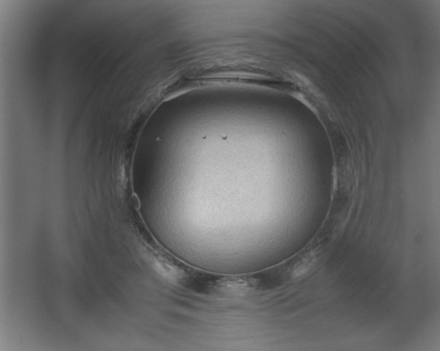 X0000067830405200604201221