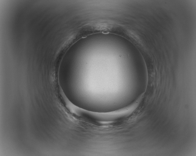 X0000067830407200604201221