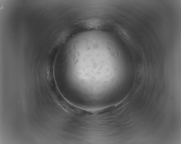 X0000067830408200604201221