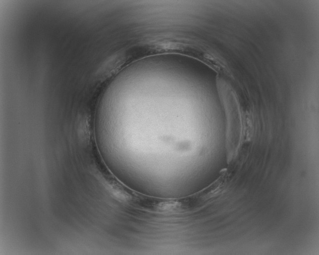 X0000067830410200604201221