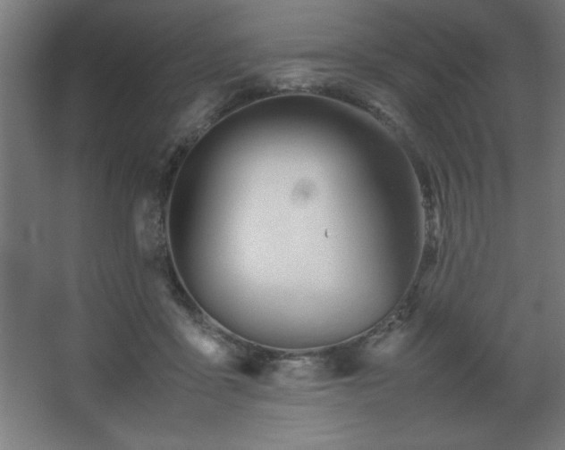 X0000067830411200604201220