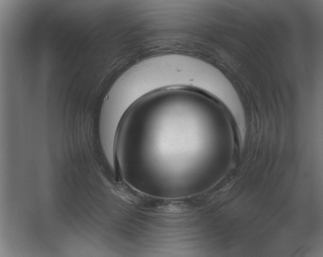 X0000067830412200604201220