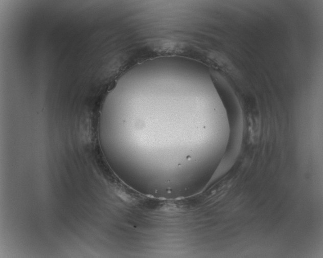 X0000067830416200604201220