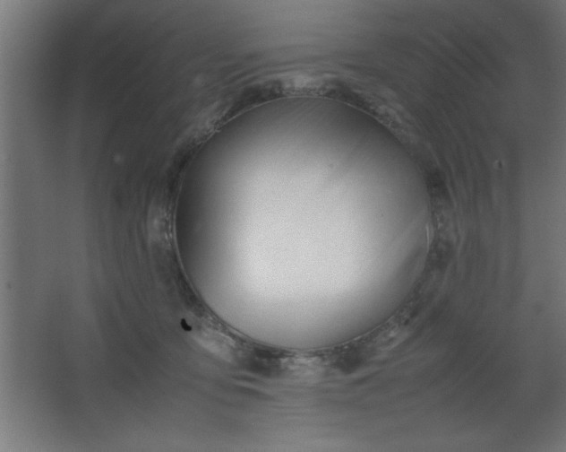 X0000067830419200604201220