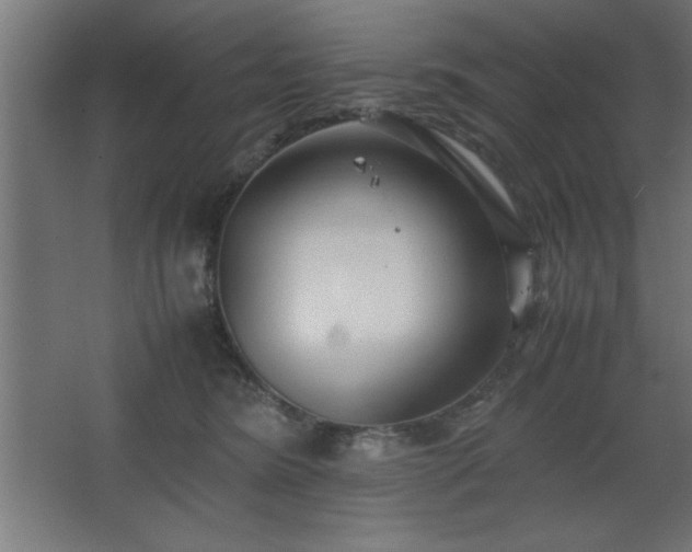 X0000067830420200604201220