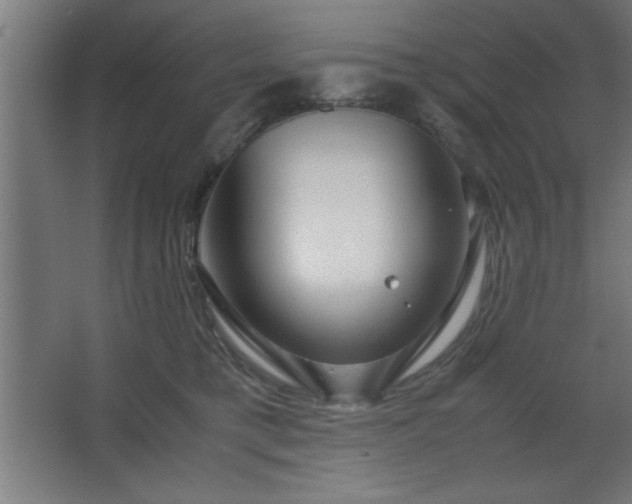 X0000067830421200604201220