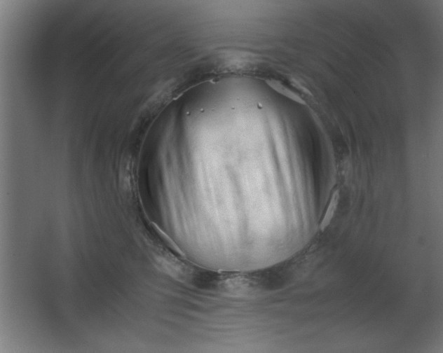 X0000067830423200604201220