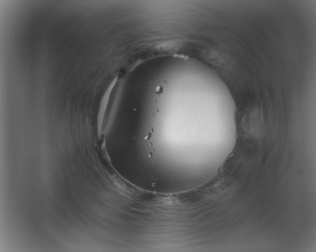 X0000067830424200604201220