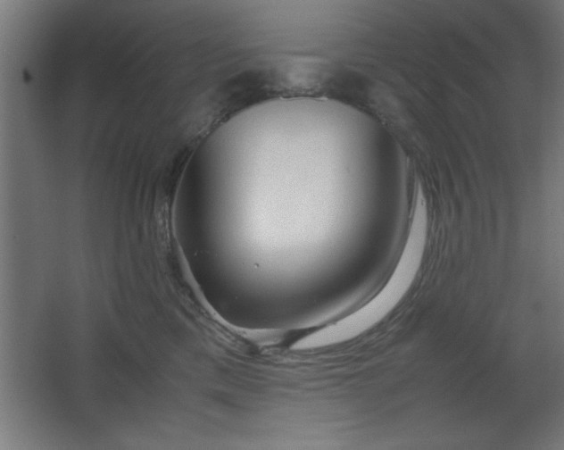 X0000067830425200604201220