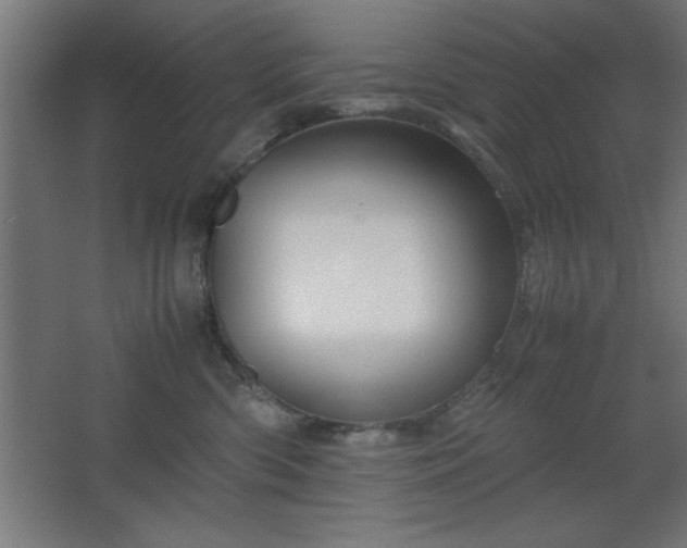 X0000067830426200604201220