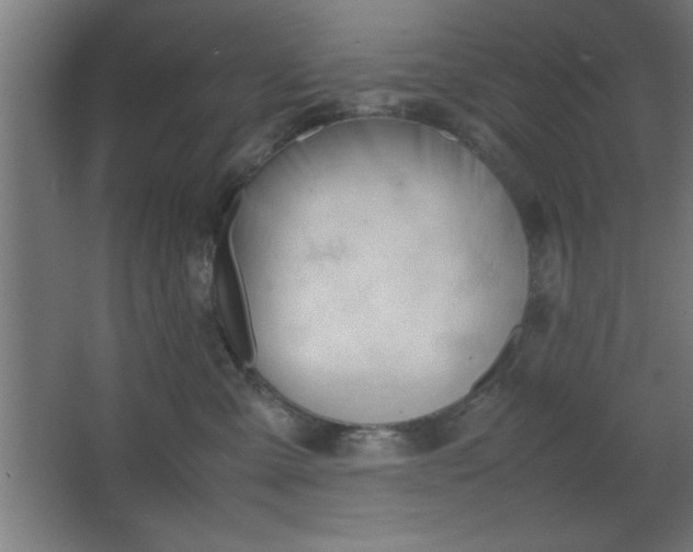 X0000067830427200604201220