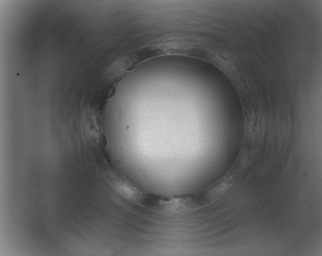 X0000067830430200604201220