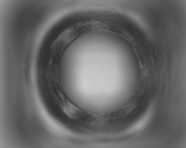 X0000067830431200604201220