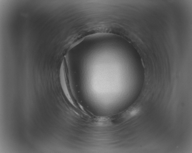 X0000067830432200604201220