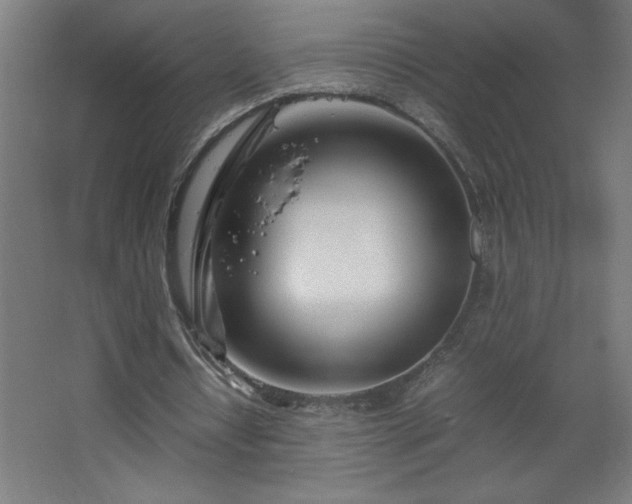 X0000067830434200604201219