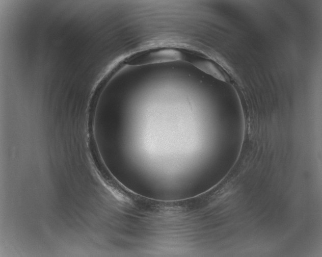 X0000067830438200604201219