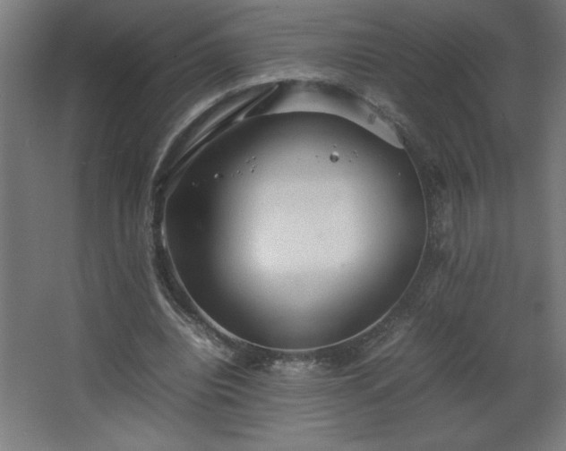 X0000067830440200604201219