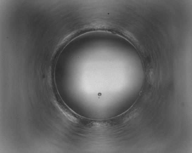 X0000067830442200604201219