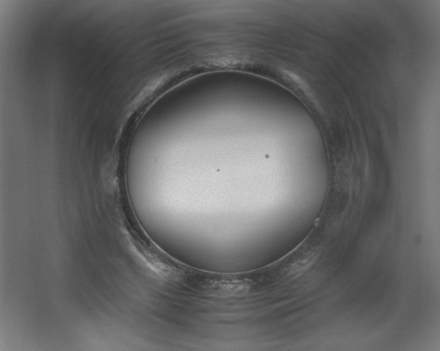 X0000067830443200604201219