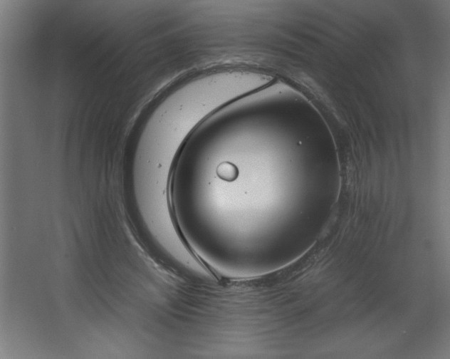 X0000067830444200604201220