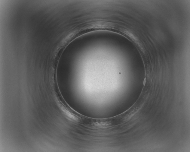 X0000067830445200604201220