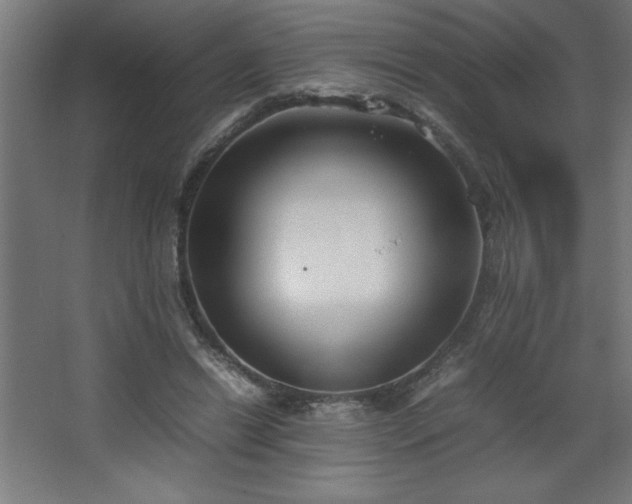 X0000067830446200604201220