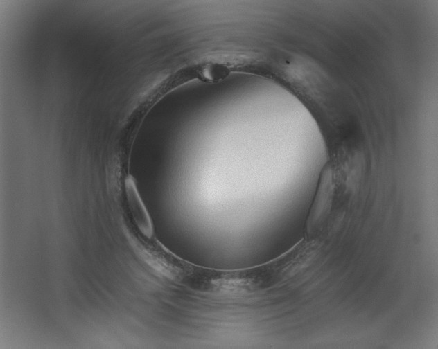 X0000067830448200604201220