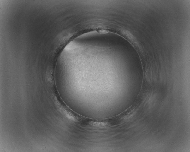 X0000067830449200604201220