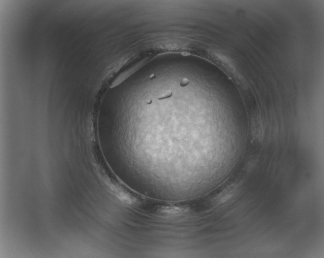 X0000067830453200604201220