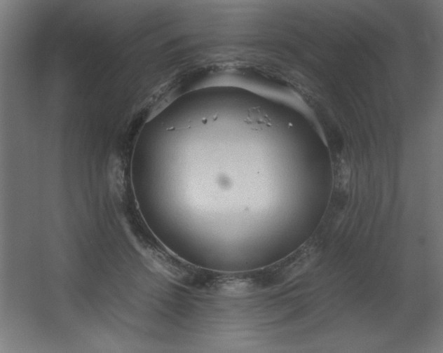 X0000067830456200604201220