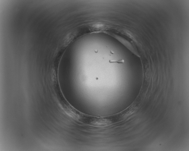 X0000067830459200604201220