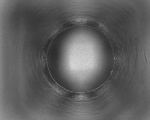 X0000067830460200604201220