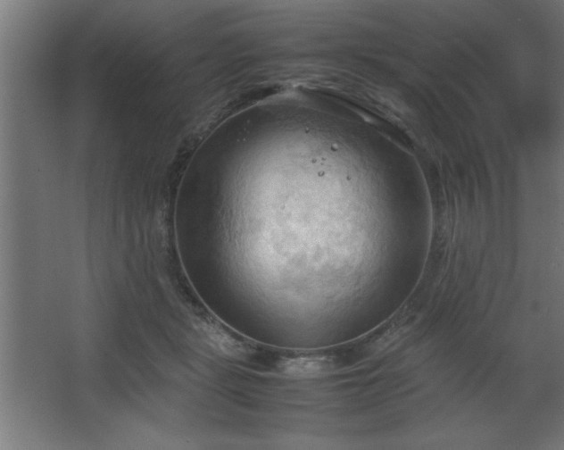 X0000067830461200604201220