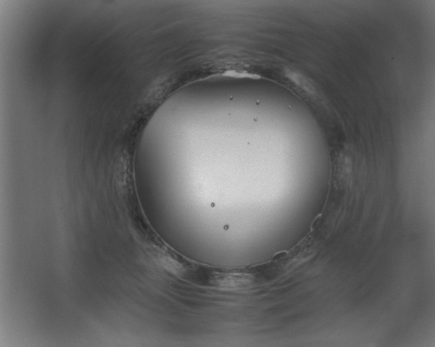 X0000067830463200604201220