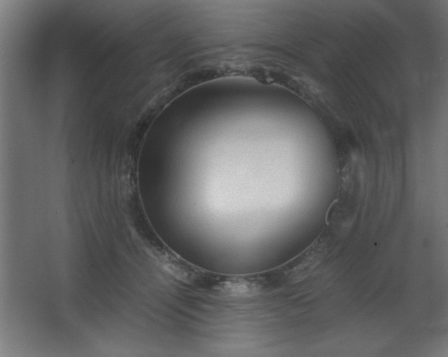 X0000067830464200604201220