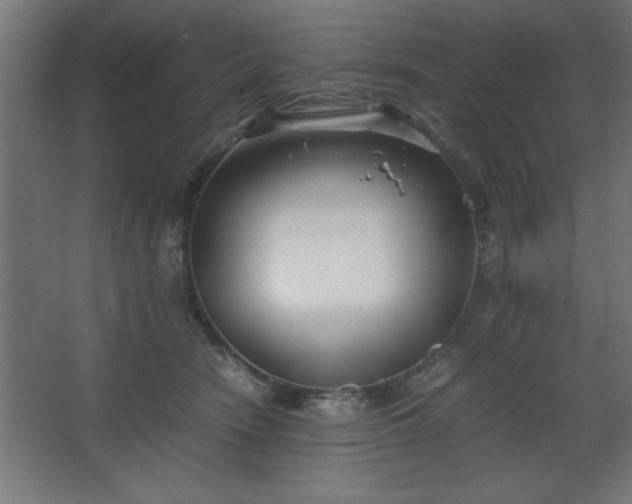 X0000067830466200604201220