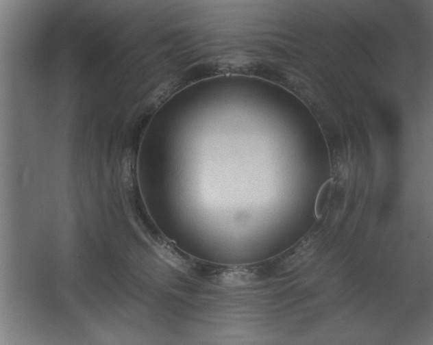 X0000067830468200604201220