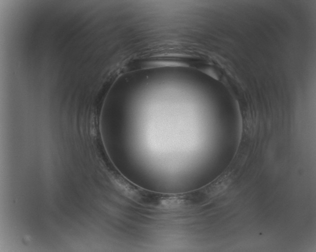 X0000067830470200604201220