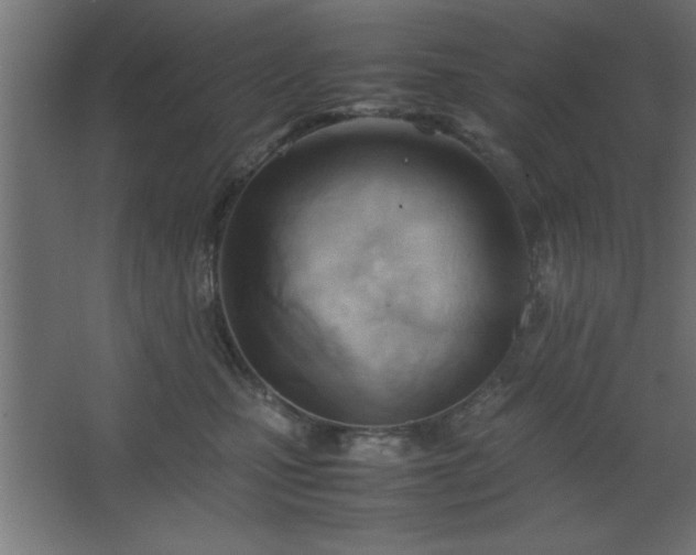 X0000067830471200604201220