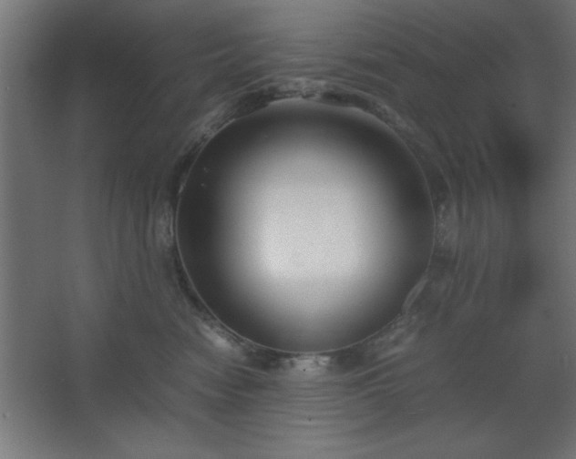 X0000067830474200604201220