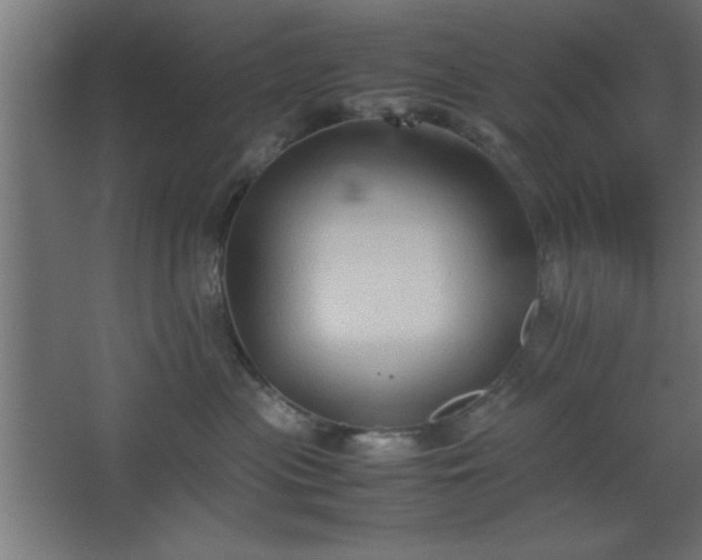 X0000067830477200604201220