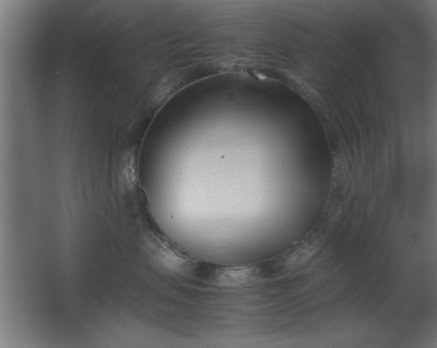 X0000067830479200604201220