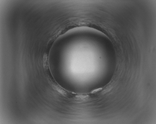 X0000067830480200604201220