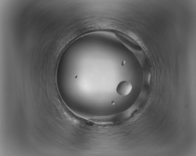 X0000067830481200604201219