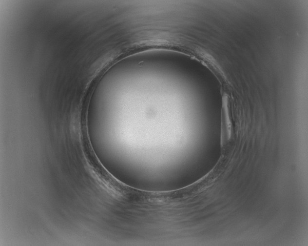 X0000067830482200604201219